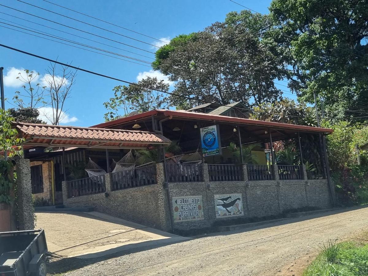Cabinas Pura Vida B&B Tour Operator Drakes Bay المظهر الخارجي الصورة