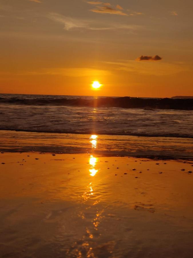 Cabinas Pura Vida B&B Tour Operator Drakes Bay المظهر الخارجي الصورة