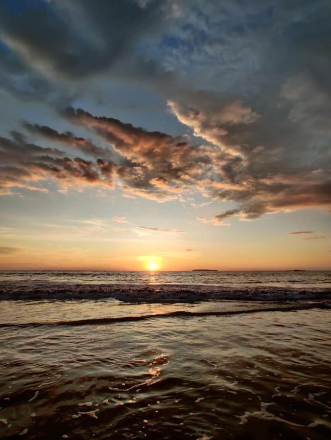 Cabinas Pura Vida B&B Tour Operator Drakes Bay المظهر الخارجي الصورة