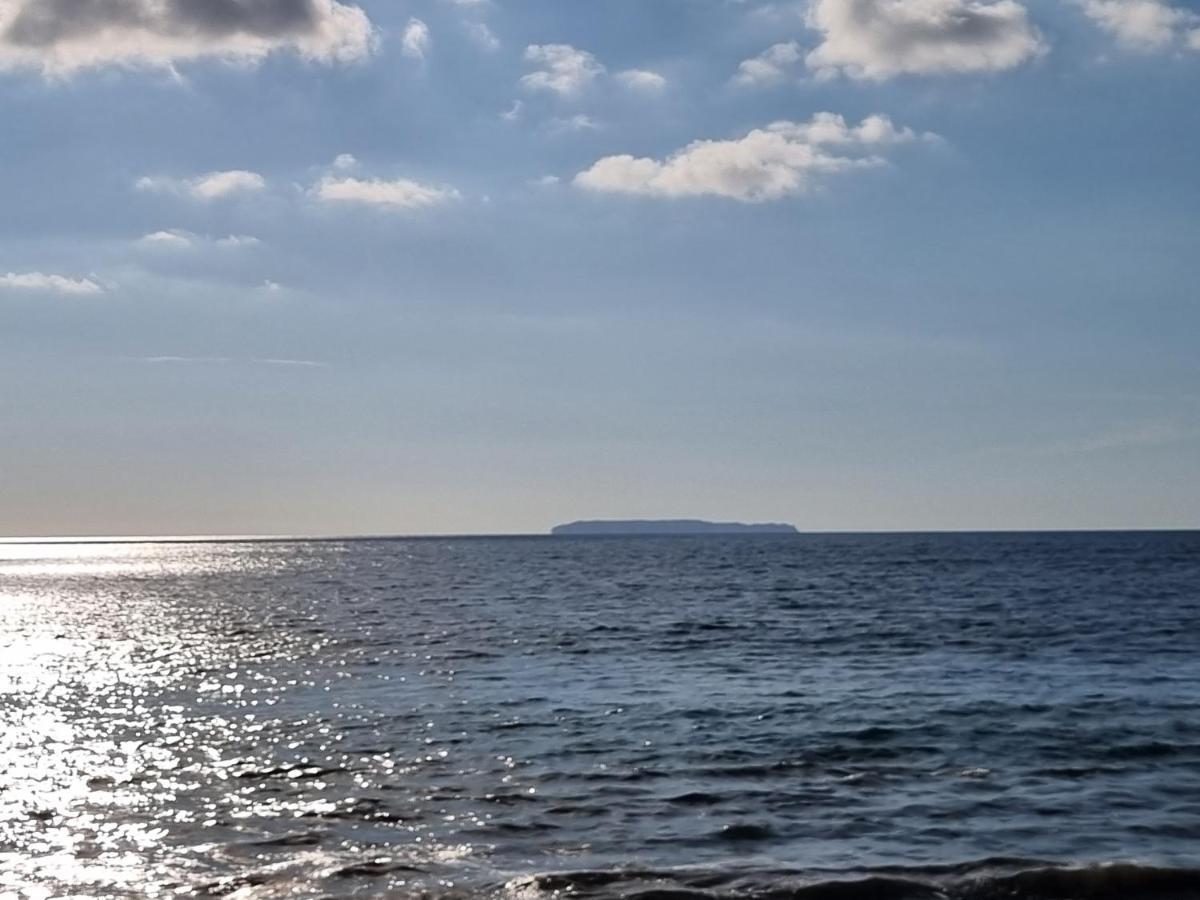 Cabinas Pura Vida B&B Tour Operator Drakes Bay المظهر الخارجي الصورة