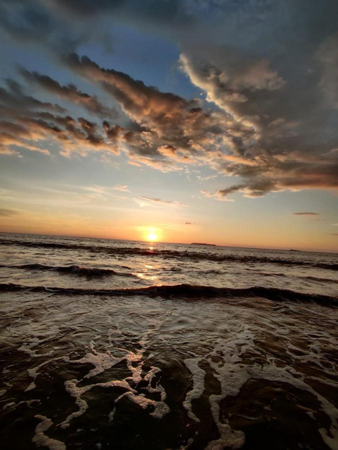 Cabinas Pura Vida B&B Tour Operator Drakes Bay المظهر الخارجي الصورة