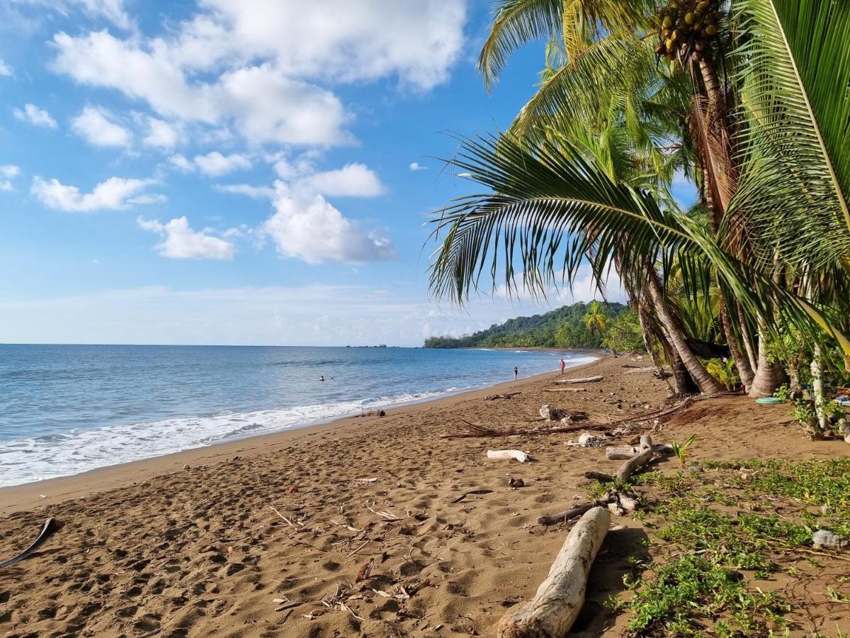 Cabinas Pura Vida B&B Tour Operator Drakes Bay المظهر الخارجي الصورة