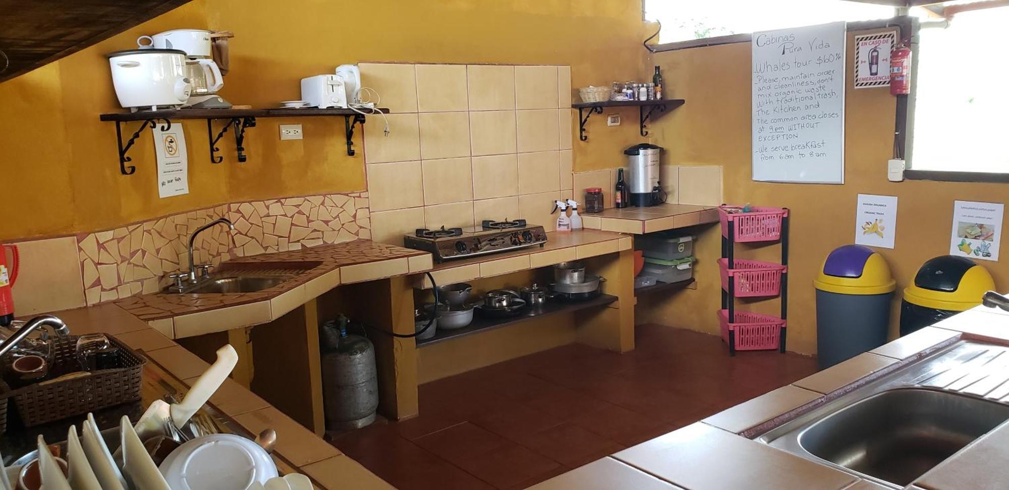 Cabinas Pura Vida B&B Tour Operator Drakes Bay المظهر الخارجي الصورة